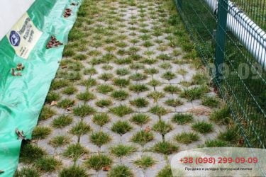 Тротуарнаяплиткапарковочнаярешетка