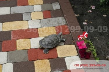 ВГореничах.Фото