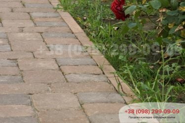 ВСофиевскойБорщаговке.Фото