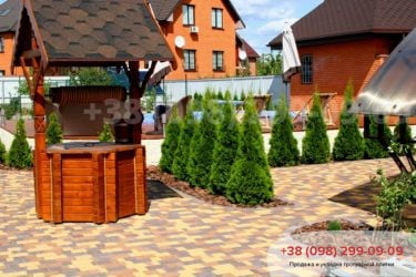 ВВишенках.Фото