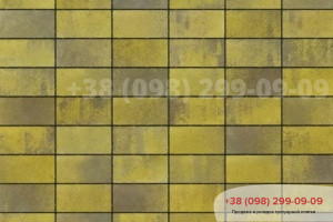 Тротуарна плитка Цегла без фаски Сієна