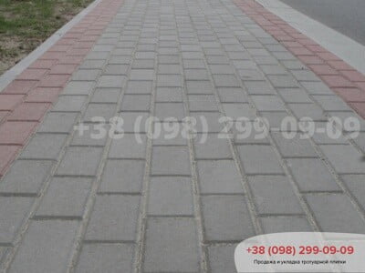 Тротуарная плитка Кирпич 200х100 Сераяфото 10