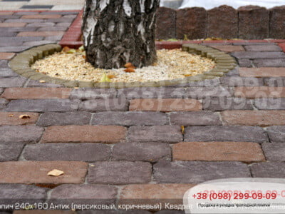 Тротуарна плитка Цегла Антик 240х160фото 6