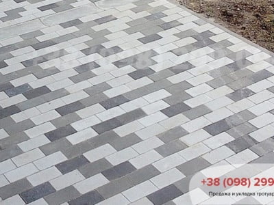 Тротуарна плитка Цегла без фаски Сірафото 7