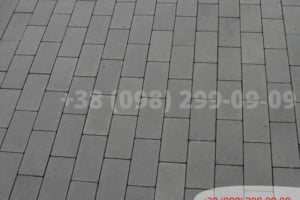 Сірий Тротуарна плитка Цегла без фаски Сіра