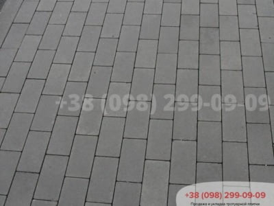 Тротуарна плитка Цегла без фаски Сірафото 1
