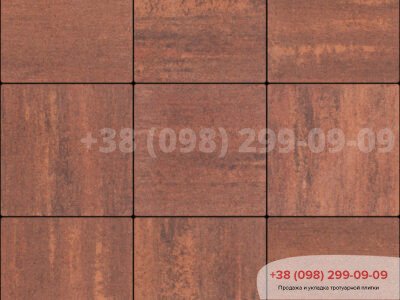 Тротуарная плитка Лайнстоун-90 Гранатфото 1
