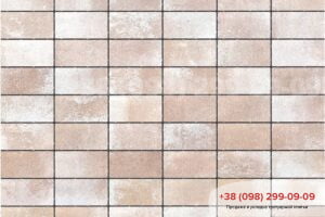 Тротуарна плитка 200х100 цеглина без фаски Тротуарна плитка Цегла без фаски Капрі