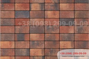 Тротуарна плитка 200х100 цеглина без фаски Тротуарна плитка Цегла без фаски Віано