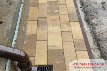 Наші роботи Паттерн Ариано